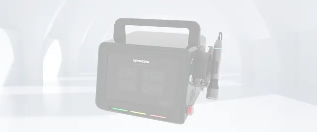 Laser Kedokteran Hewan