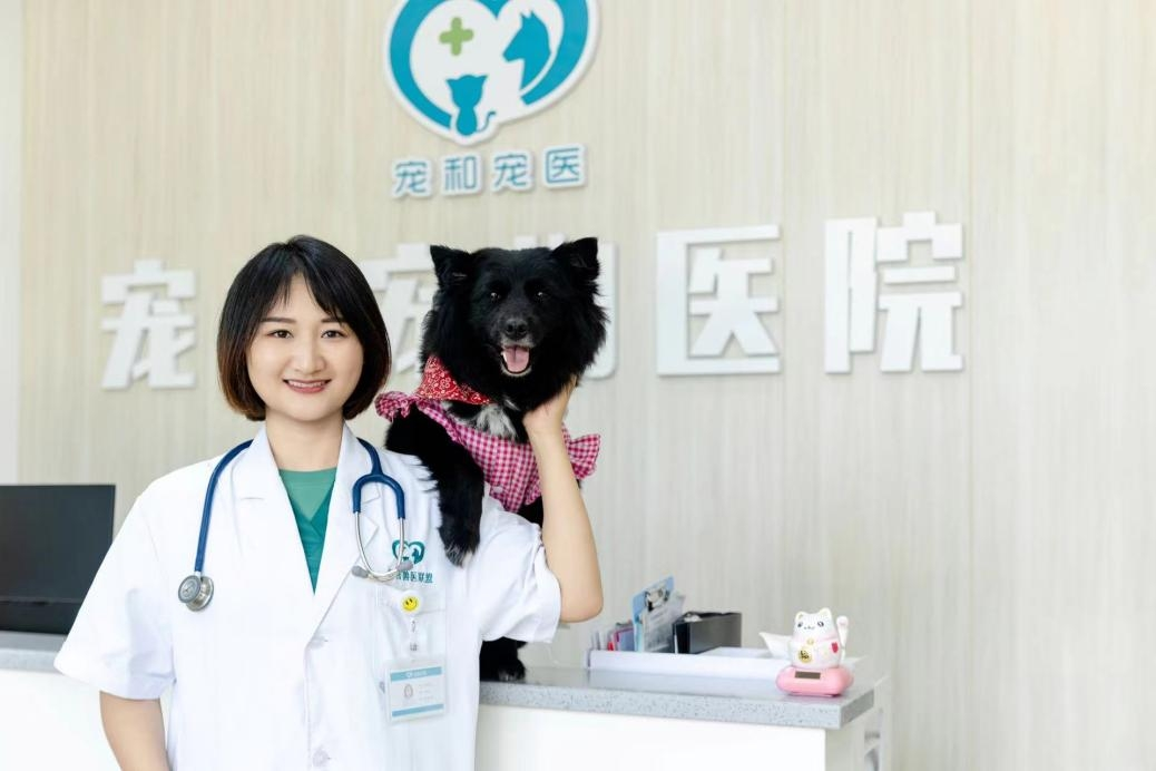 Berbagi Kasus VETMEDIX丨Bedah Laser Berkekuatan Tinggi untuk Hematoma Telinga