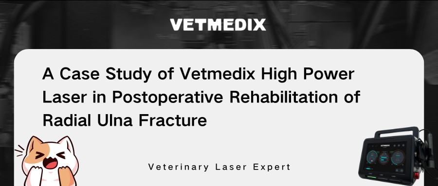 VETMEDIX Case Sharing 丨 Terapi laser daya tinggi dalam rehabilitasi fraktur ulna radial pasca operasi